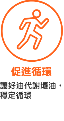 促進循環=讓好油代謝壞油，穩定循環